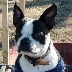 Meet your Posher, Steve